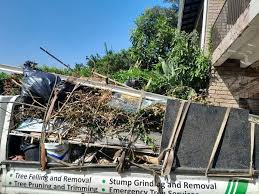 Best Estate Cleanout  in Level Park Oak Park, MI