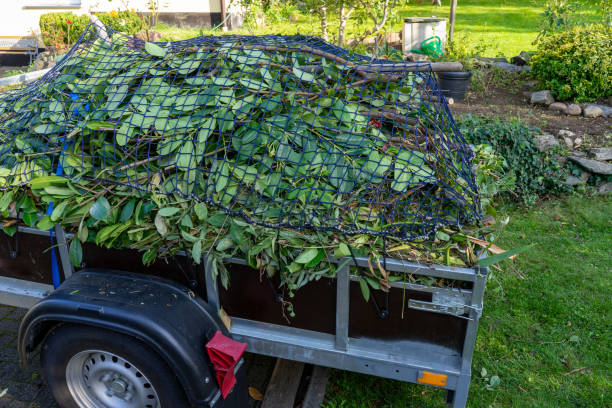 Trusted Level Park Oak Park, MI Junk Removal Services Experts